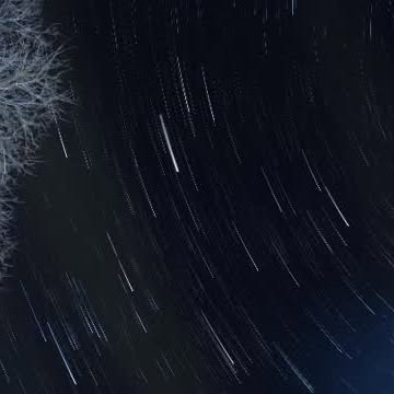  ......ardsmen   'recent posts' 