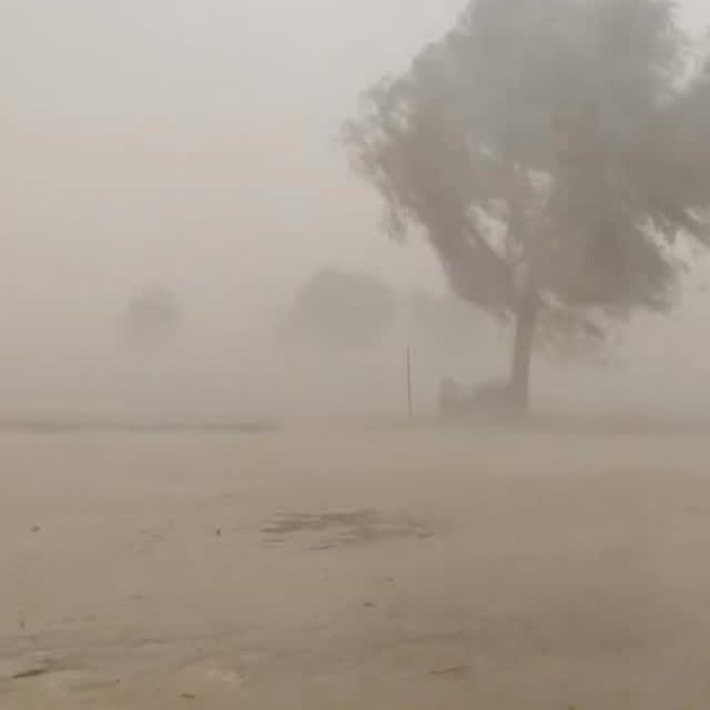  .......studentz   'recent posts' 