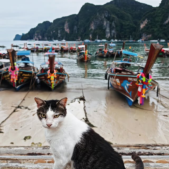  .....uslong   'recent posts' 