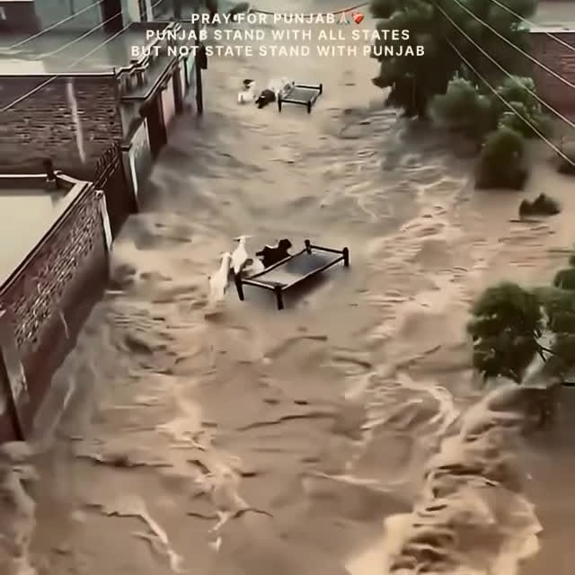  .......studentz   'recent posts' 