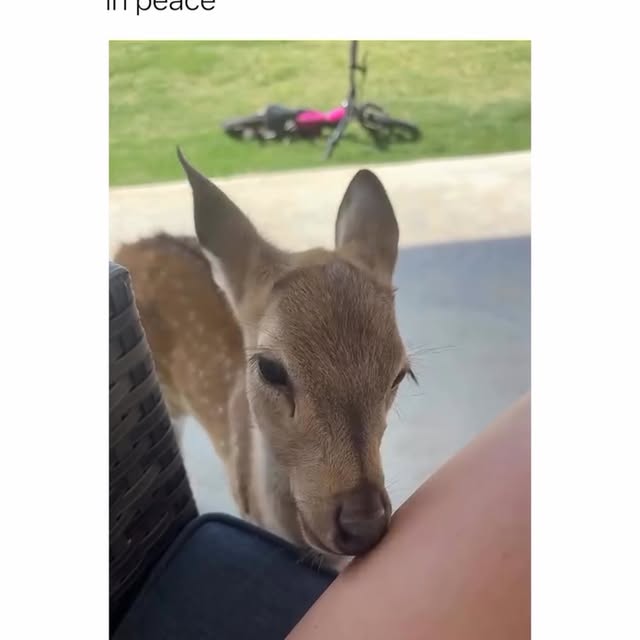  .....notes   'recent posts' 