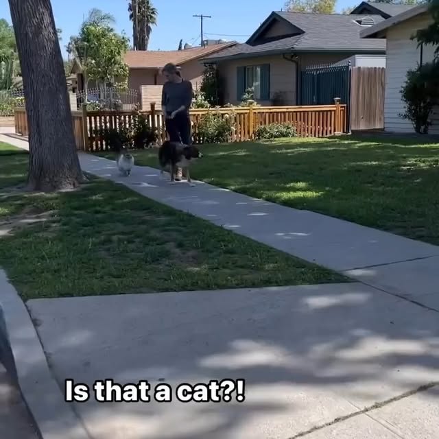  .....li9ht   'recent posts' 