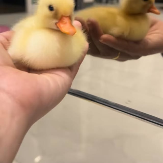  ........ckstatue   'recent posts' 