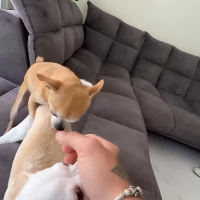  ......ogscute   'recent posts' 