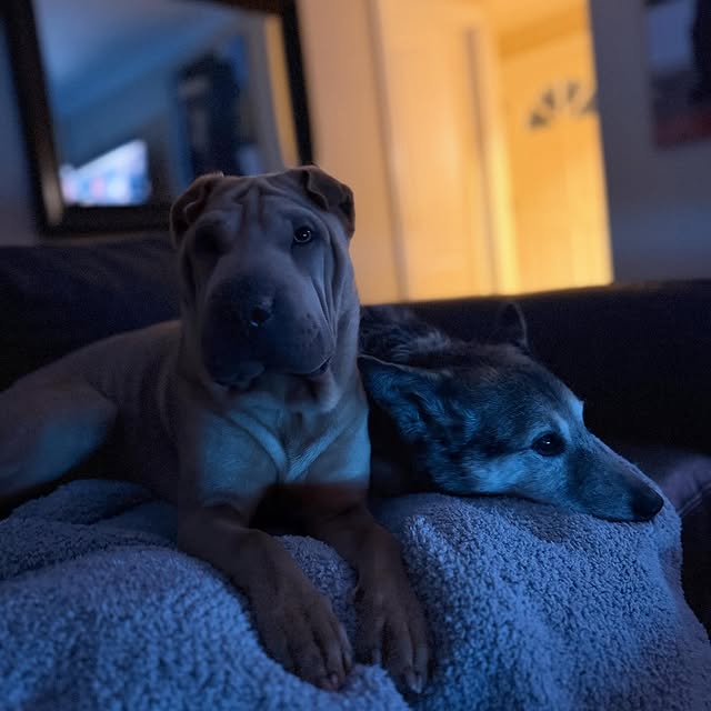  ......i.world   'recent posts' 