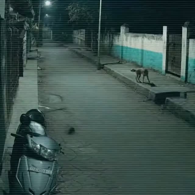  ....s.60s   'recent posts' 