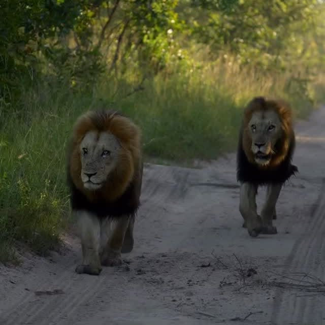  .........._sightings   'recent posts' 