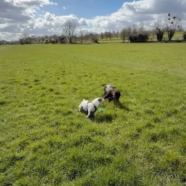  .......sell_luc   'recent posts' 