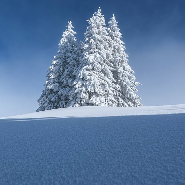  .........rancaises   'recent posts' 