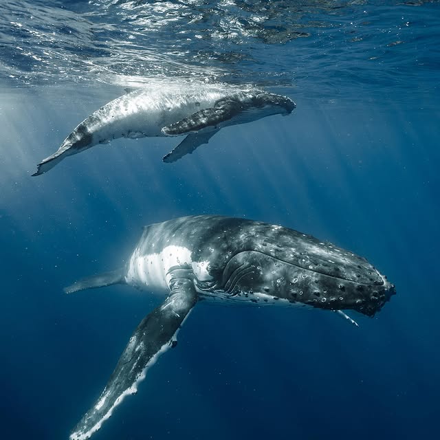  ......uecoast   'recent posts' 