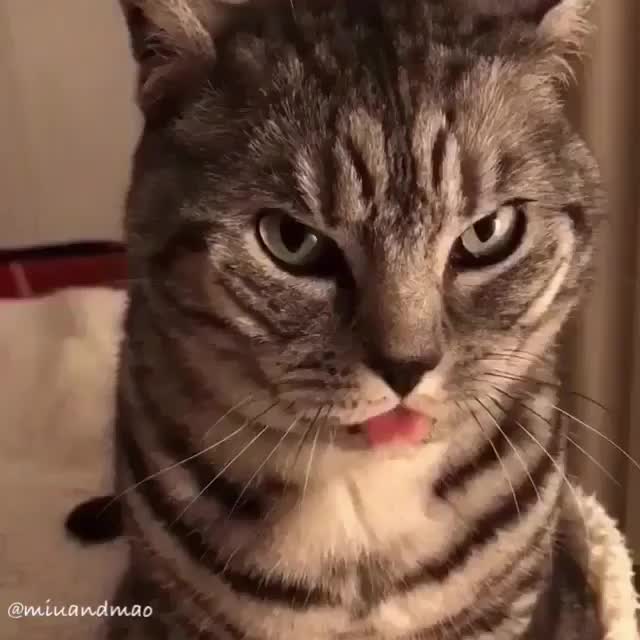  .......t.today   'recent posts' 