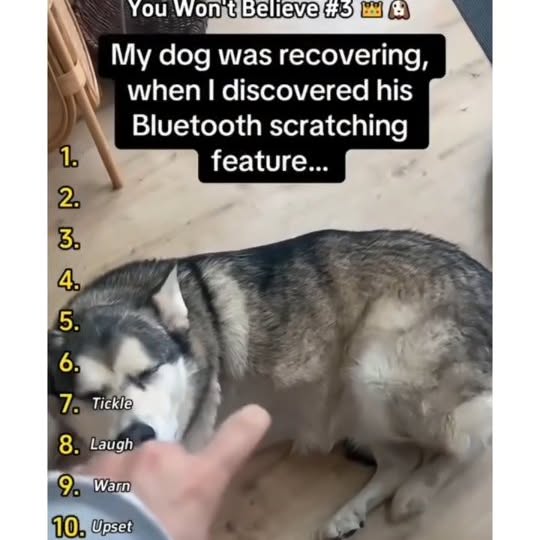  .....ibess   'recent posts' 