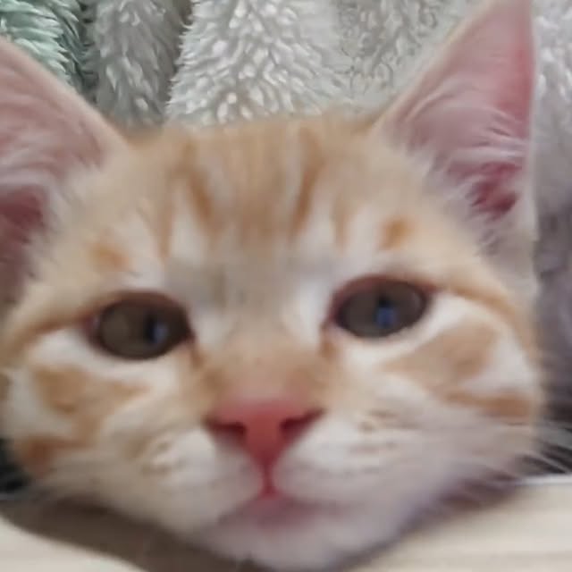  ......nd.kits   'recent posts' 