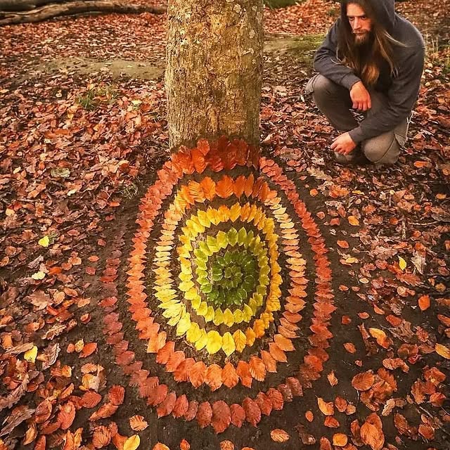  ......ravels   'recent posts' 