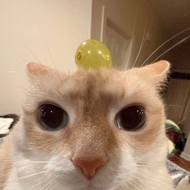  .....attos   'recent posts' 