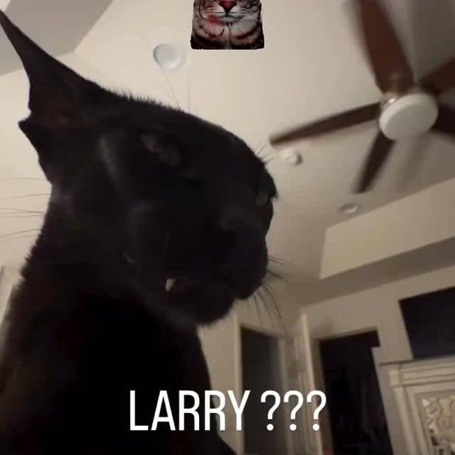  ....eowsy   'recent posts' 