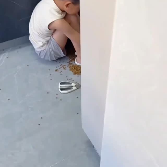  ......imalshq   'recent posts' 