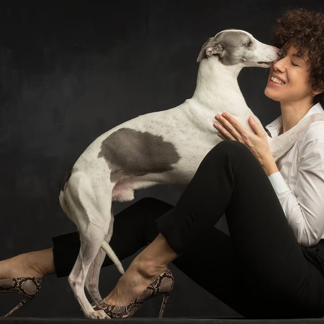  ..........hotography   'recent posts' 