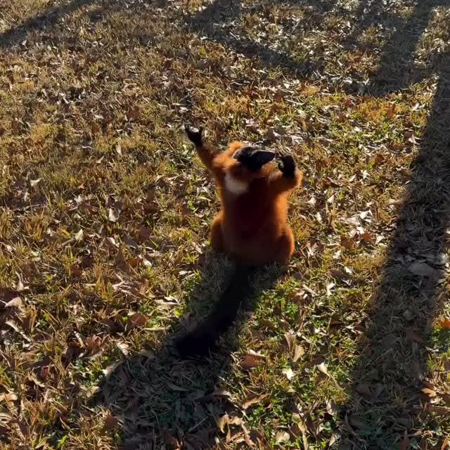  .......malshow   'recent posts' 