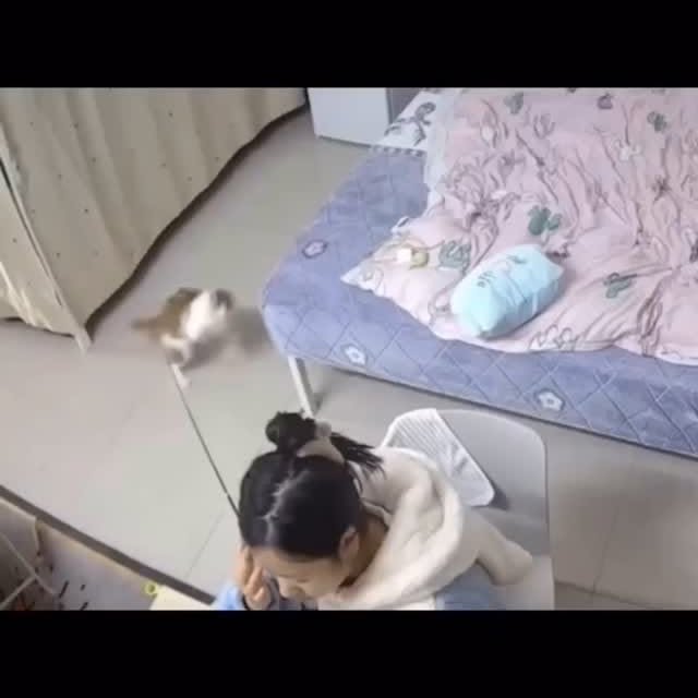  ......ingcat   'recent posts' 