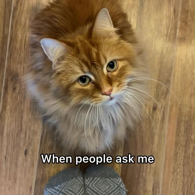  .........tofficial   'recent posts' 