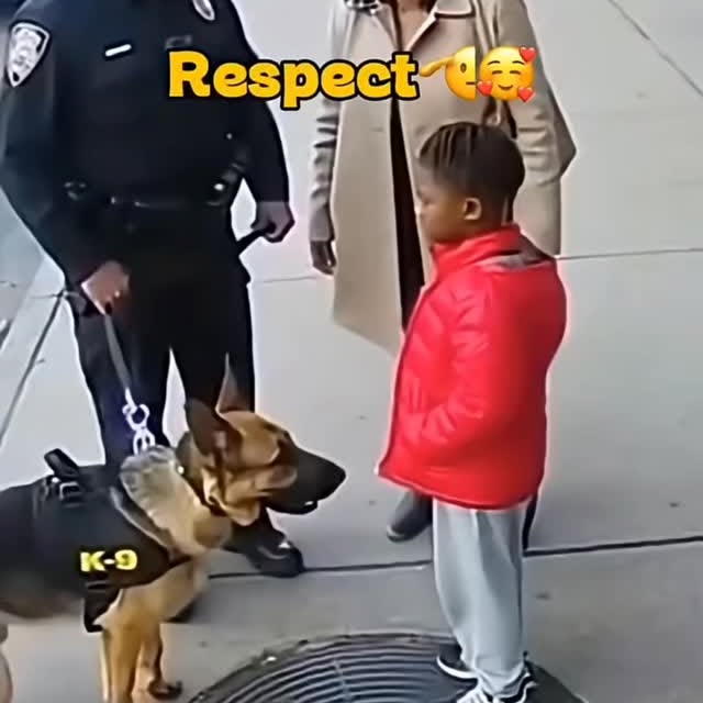  .....nly.ai   'recent posts' 