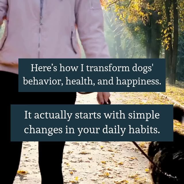  ........endlounge   'recent posts' 