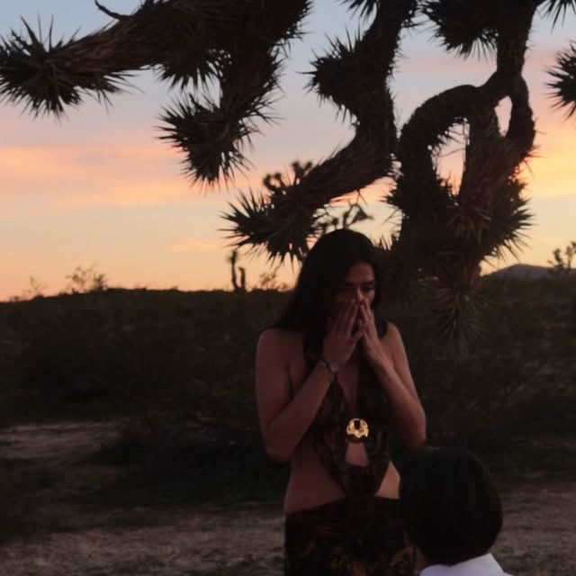  .....wilks   'recent posts' 