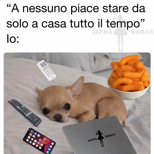  ..........n_official   'recent posts' 