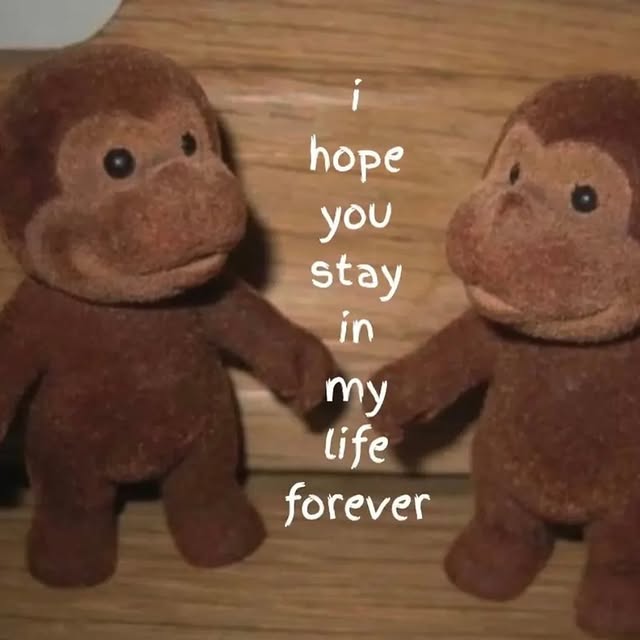  ......snotes   'recent posts' 