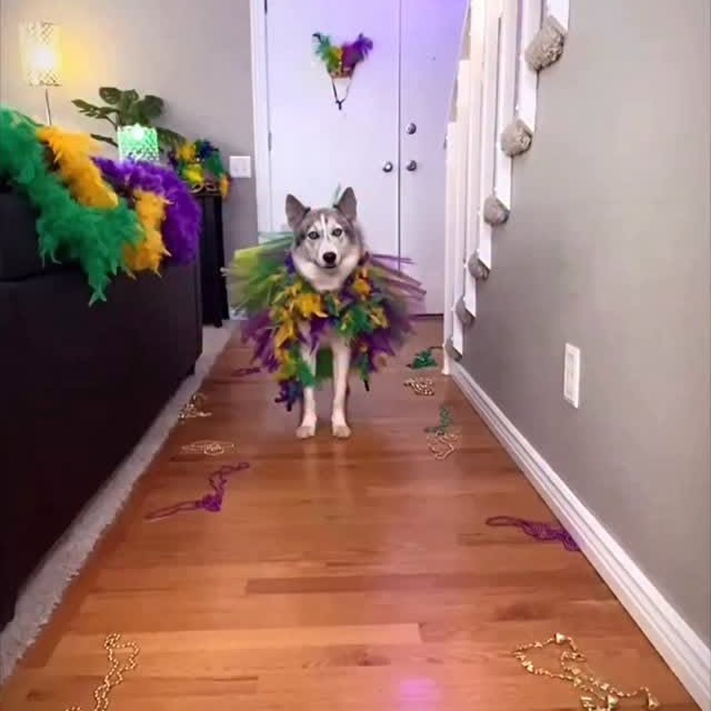  .....eteers   'recent posts' 