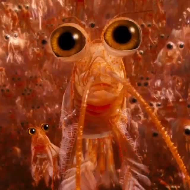  ......odfilms   'recent posts' 