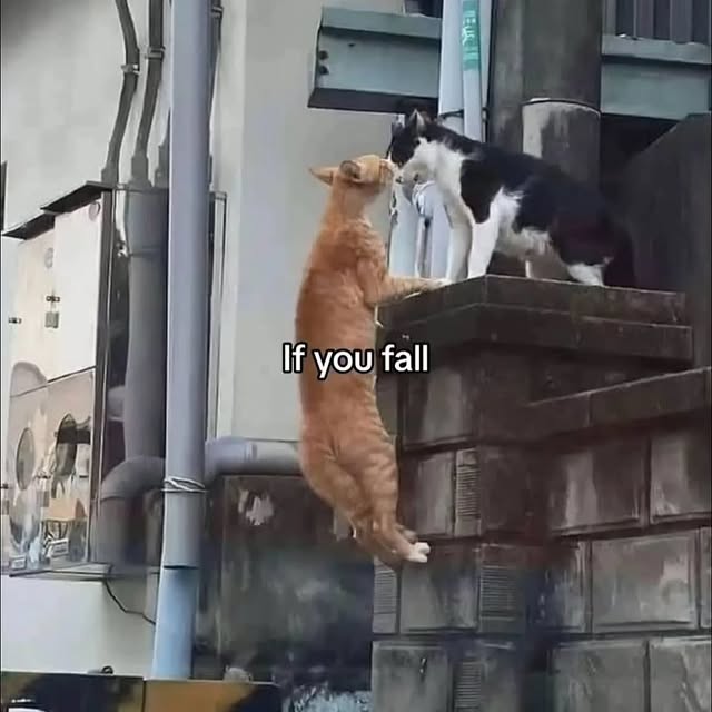  .......cesgoal   'recent posts' 