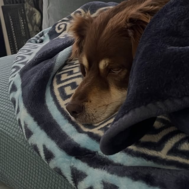  .....og2020   'recent posts' 