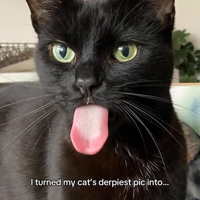  ...........irtonguesout   'recent posts' 