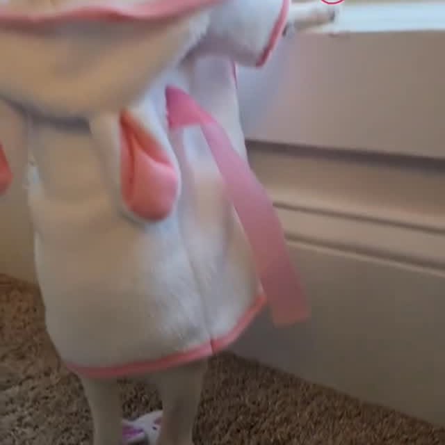  .......uapuppy   'recent posts' 