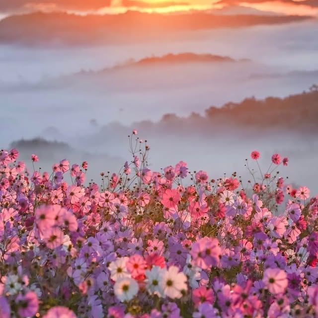  ........vacations   'recent posts' 