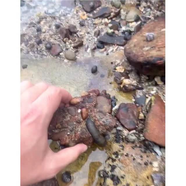  ..obe   'recent posts' 