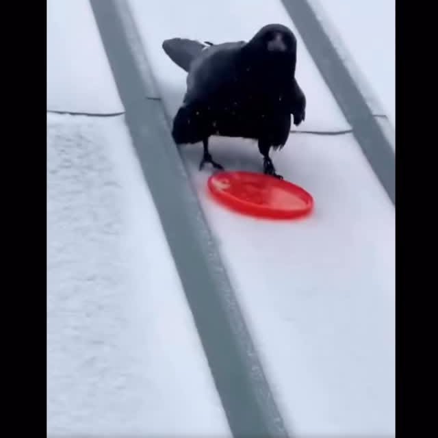  ........alth_club   'recent posts' 