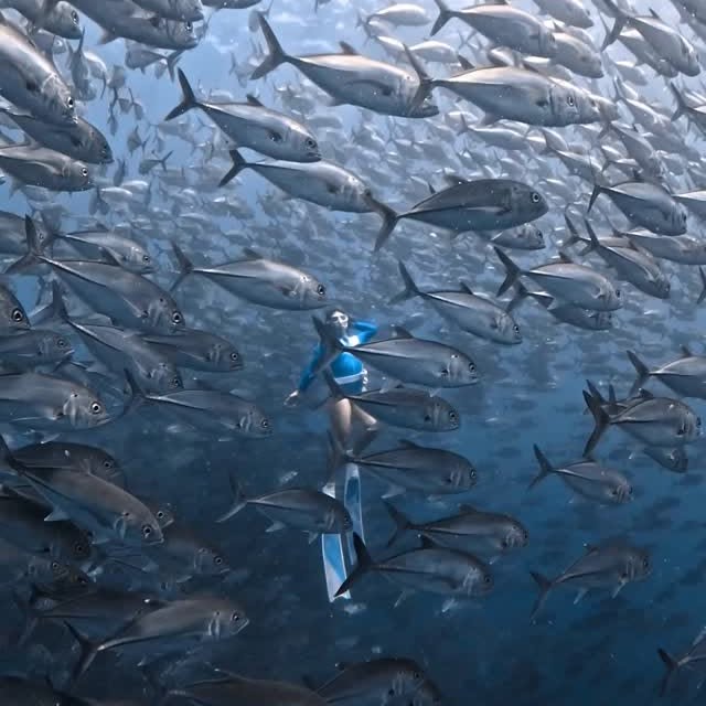  ......uecoast   'recent posts' 