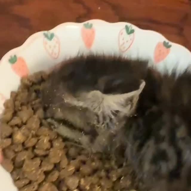  ......nd.kits   'recent posts' 