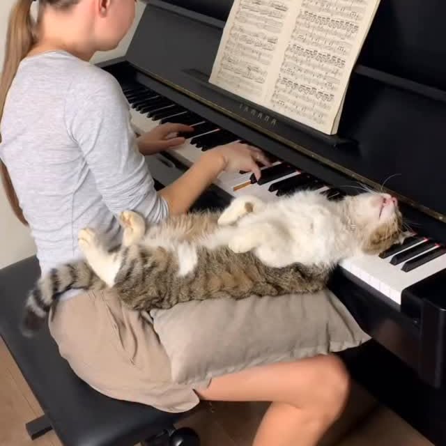  .......skittens   'recent posts' 