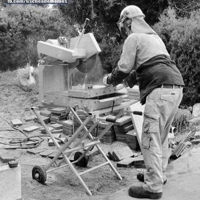  .....crew   'recent posts' 