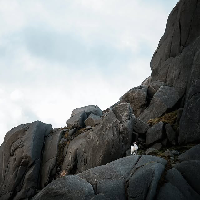  ........phpartsch   'recent posts' 