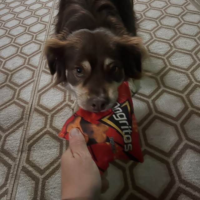  .....og2020   'recent posts' 