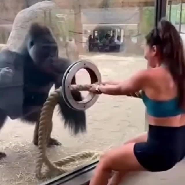  .....nly.ai   'recent posts' 