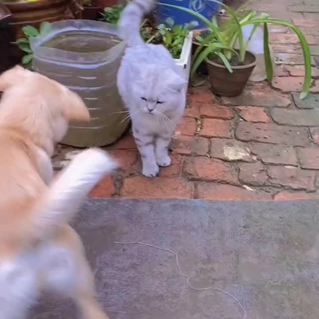  ....retie   'recent posts' 