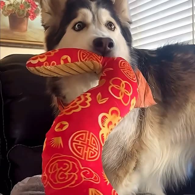  ........malsgram   'recent posts' 