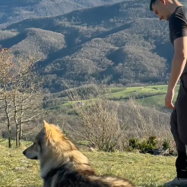  ....ofk9   'recent posts' 