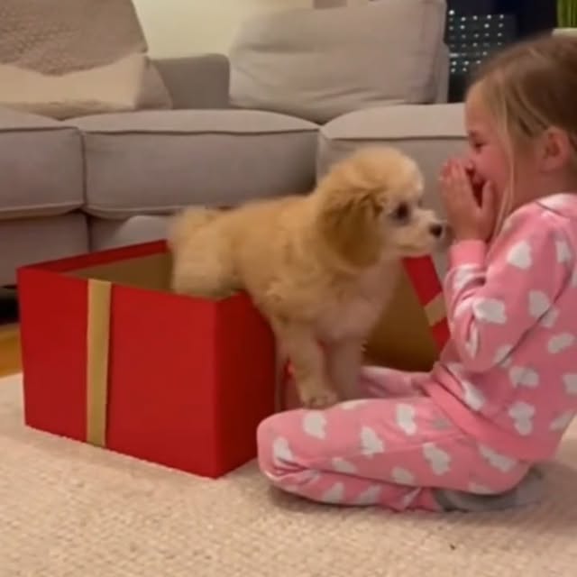  .....sland   'recent posts' 